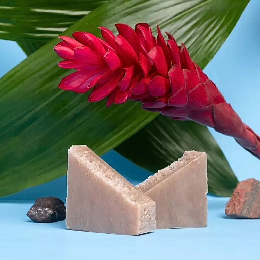 Pleťové mýdlo LAVA CLAY jemně exfoliační pleťové mýdlo s minerály 113 g Earth Harbor fotografie č. 2