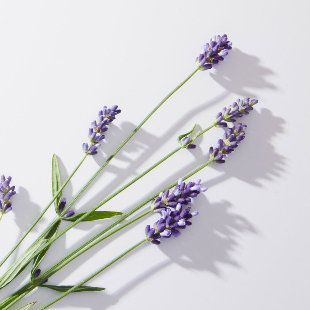 Přísada do koupele Měsíčková koupel na dobrou noc 200 ml Weleda fotografie č. 2