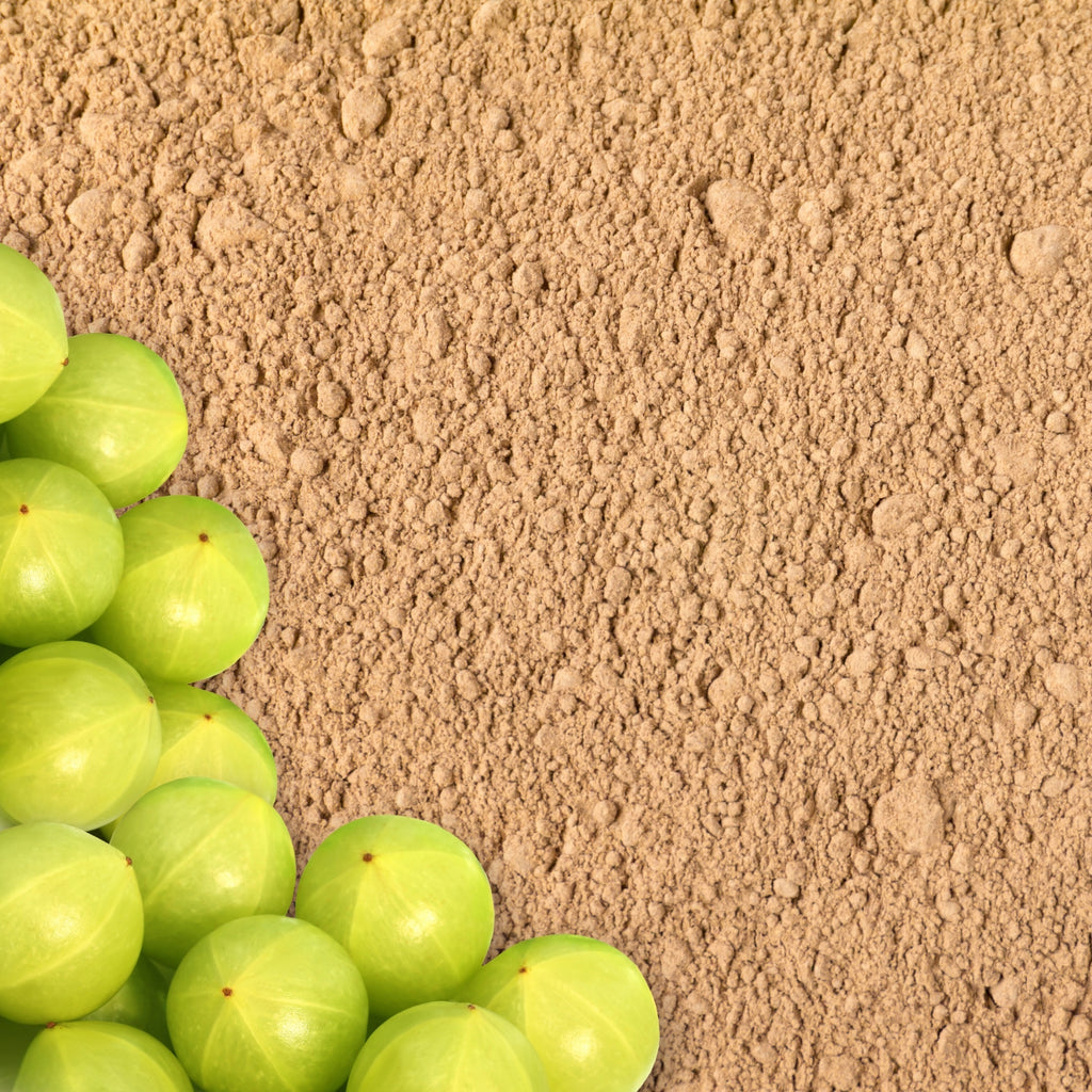 Šampon Bio Práškový šampon AMLA na lesk a objem pro normální a jemné vlasy NÁPLŇ 250 g Eliah Sahil fotografie č. 2