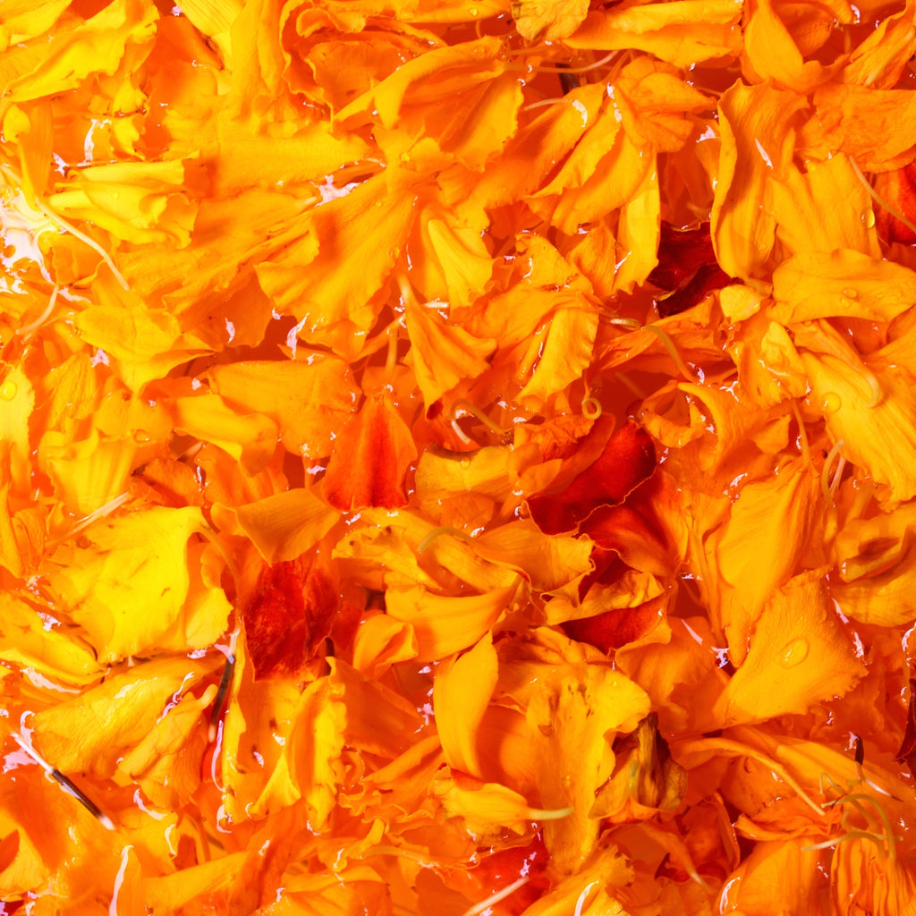 Sprchový krém 2v1 pro děti Měsíčkový dětský sprchový krém a šampon 200 ml Weleda fotografie č. 2