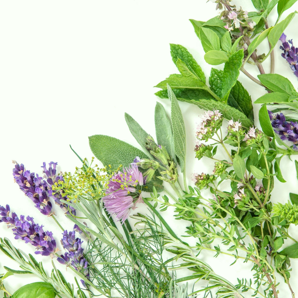 Tělové mléko Regenerační tělové mléko SKIN FOOD Lotion 250 ml Weleda fotografie č. 2