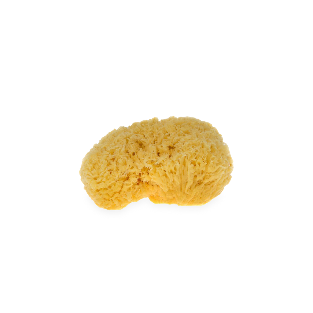 Mořská houba Přírodní jemná mycí mořská houbička na obličej  Förster´s fotografie č. 1
